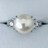 _Ch~p[ ^ O Pt900 9.8mm 0.31ct 7.0g