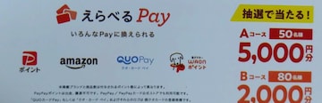 IׂPay5~/2~/1