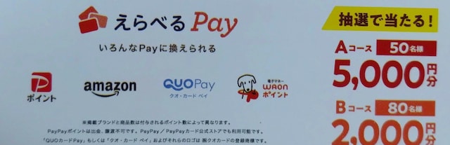 IׂPay5~/2~/1   `Pbg/ 