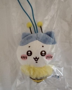 @n`@ZuCu@ʂ݁@n`