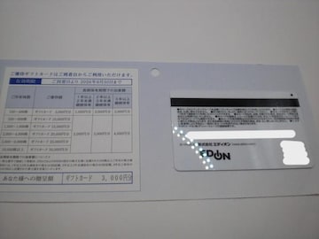 GfBID҃MtgJ[h3000~1