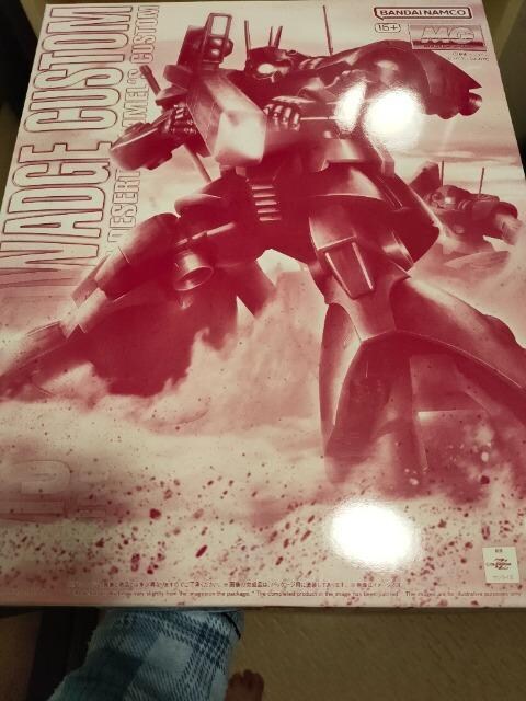 fgWNi/MG1/100hbW