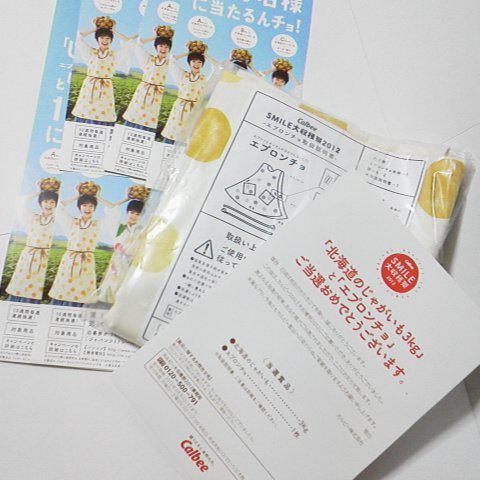 剛力 彩芽★カルビー大収穫祭【2012】エプロンチョ(じゃがいも柄)新品 等 剛力 彩芽☆カルビー大収穫祭【2012】エプロンチョ(じゃがいも柄