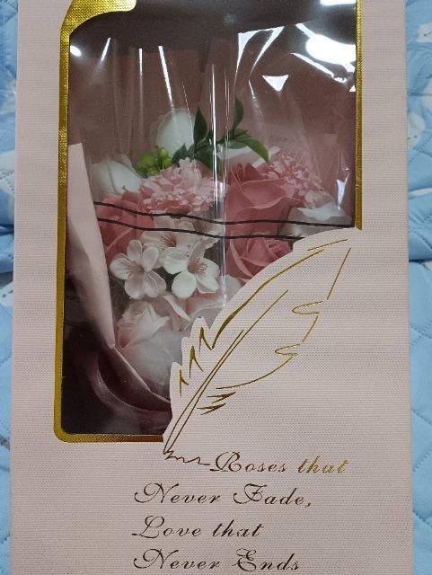 ̂ԑ̏A薢gpi