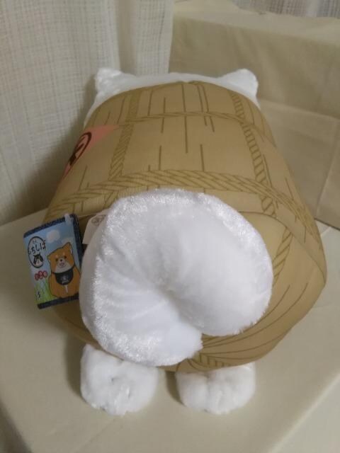 ΂ЂĂ璴BIGʂ݁@