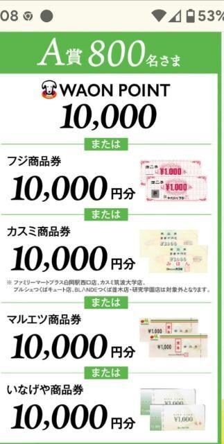 10000WAON郌V[g1   `Pbg/ 