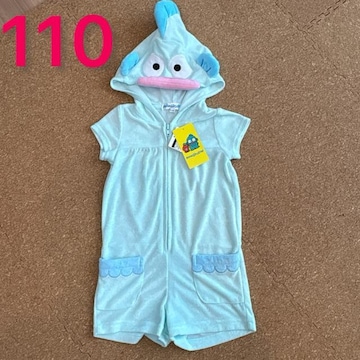 Vigp^Ot110TCY@Ȃ肫@Ȃ@TI@nMh