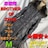 492BEZItg_EIOR[gM