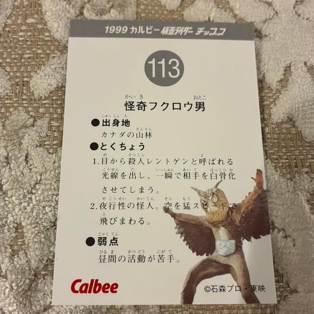 tNEj1999Jr[ʃC_[`bvX  g[fBOJ[h 