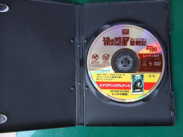 ̘fELuO[gEH[v  CD/DVD/rfI 