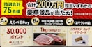 ׂpay3|Cg/ߍ]T[C1kg/Ȃ2