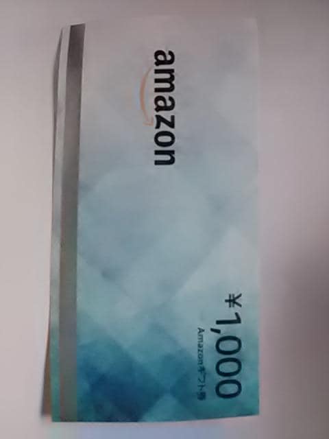 Amazon1000Vi 
