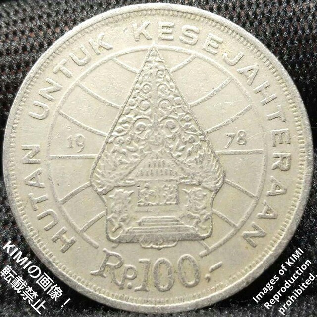 100sA jbP 1978 ɉĥ߂̗ы ChlVA jbP RC ÑK ݕ|p Coin Art d  zr[ 