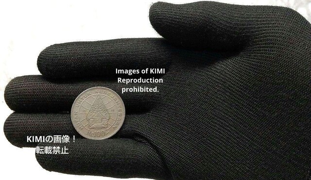100sA jbP 1978 ɉĥ߂̗ы ChlVA jbP RC ÑK ݕ|p Coin Art d  zr[ 