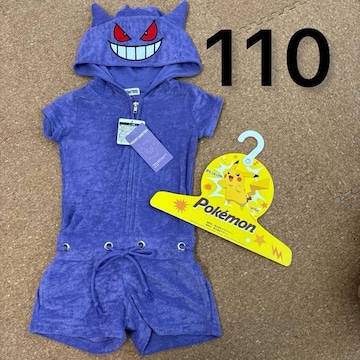 Vigp^Ot110TCY@|P@Ȃ肫QK[@Ȃ@