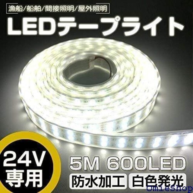 PxLEDe[vCg 5m h 24V 600A bN/qC/OƖ/ledԐڏƖ zCg 24v 167  /oCN