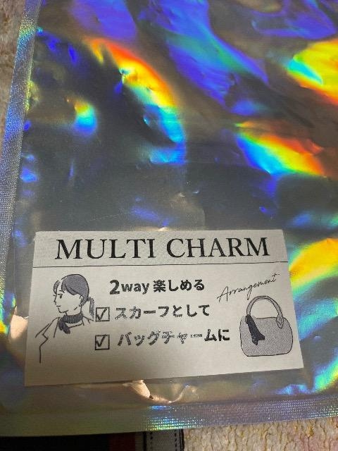 Vigp:MULTI CHARM:XJ[tobN`[  t@bV 