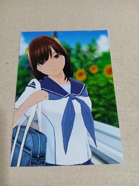 oPJX@No.1   zr[ 