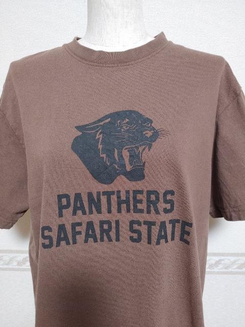 FRAMeWORK t[[NlCGULFCOAST SPORTSWEARʒTVciAPW[iX^_[h  uh 
