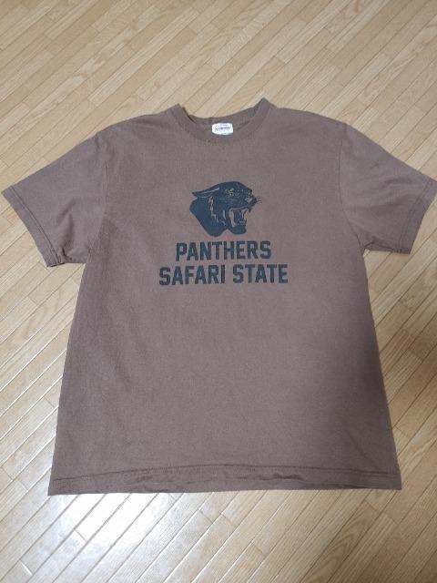 FRAMeWORK t[[NlCGULFCOAST SPORTSWEARʒTVciAPW[iX^_[h  uh 