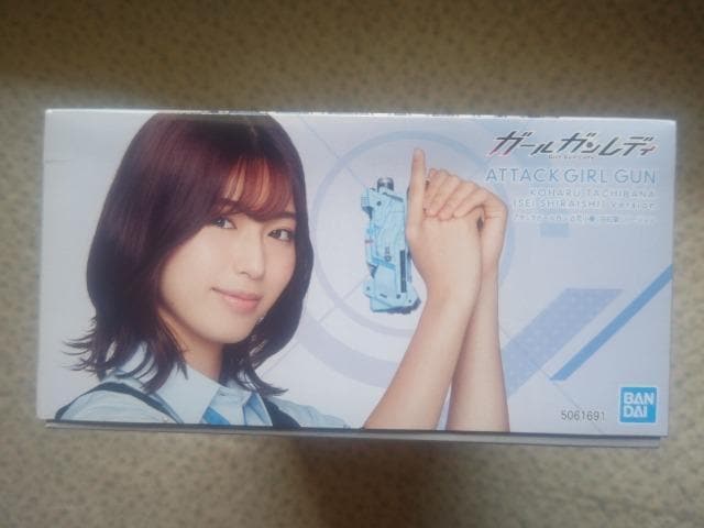 o_C'21 A^bNK[K ԏt ΐ  g ܖJ c310~200~100~  zr[ 