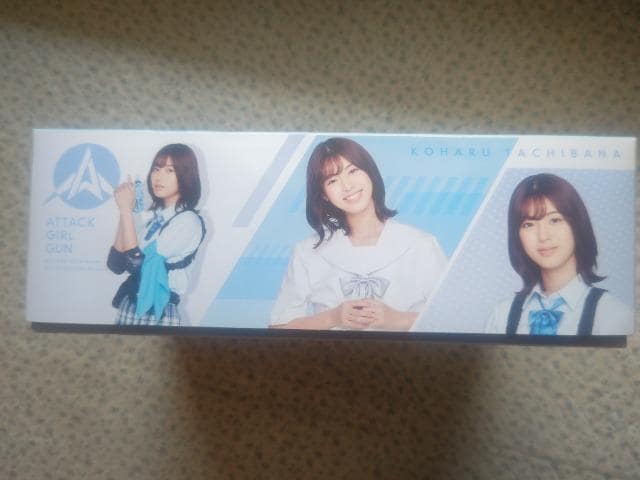 o_C'21 A^bNK[K ԏt ΐ  g ܖJ c310~200~100~  zr[ 