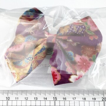 21*Ҳށ傫گ@11