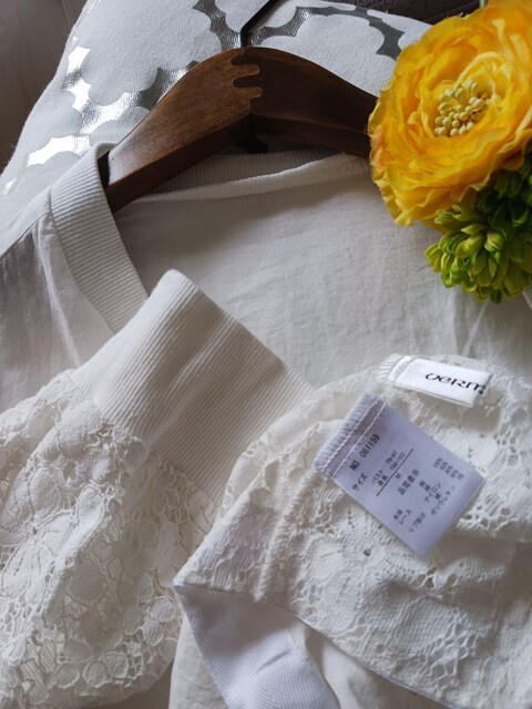 Vermillion/AE^[[X؂ւ̐VizCgAE^[