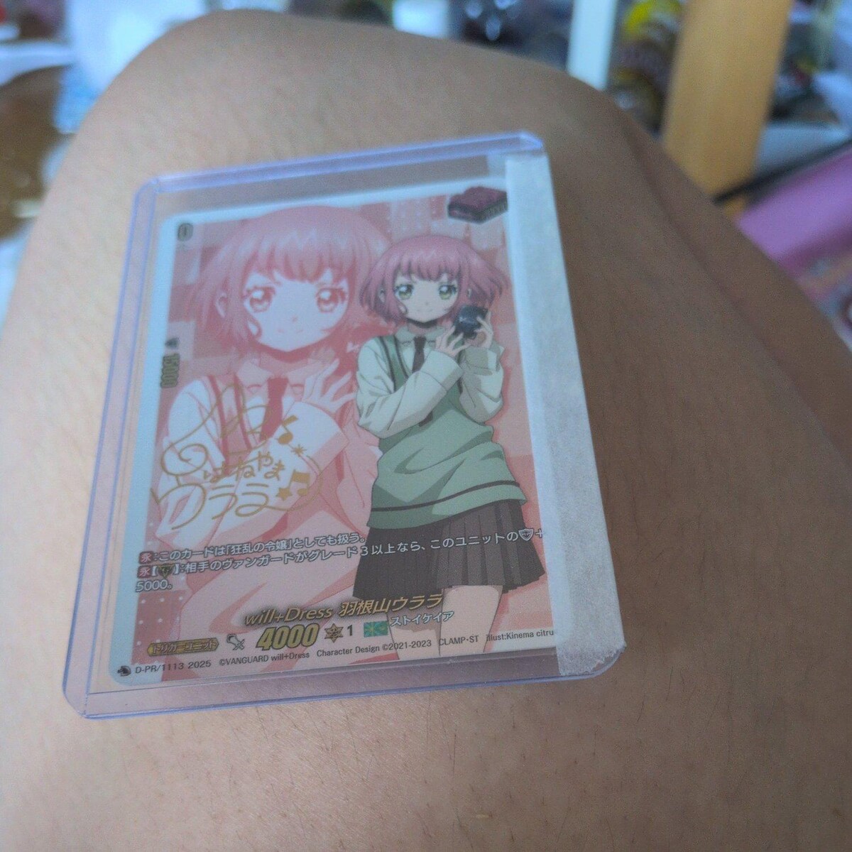 どうぶつの森+ 森をつくろう! ひろげよう! みんなの森