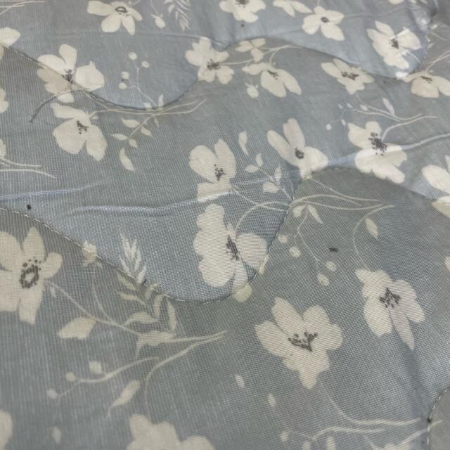 ⊴/pCo[Vu~pbh_uTCY140~205cm  CeA/Ct 