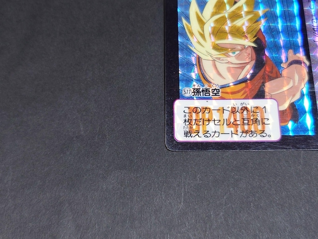 hS{[ J[h_X {e 14e No.577  / J[h_X vYJ[h L hS{[Z DBZ  Aj/R~bN/LN^[ 