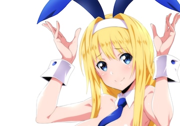 \[hA[gEICAXioj[K[ver.jǁoX^IApԕi