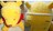 ݂ԁ@or@p[@J`[V