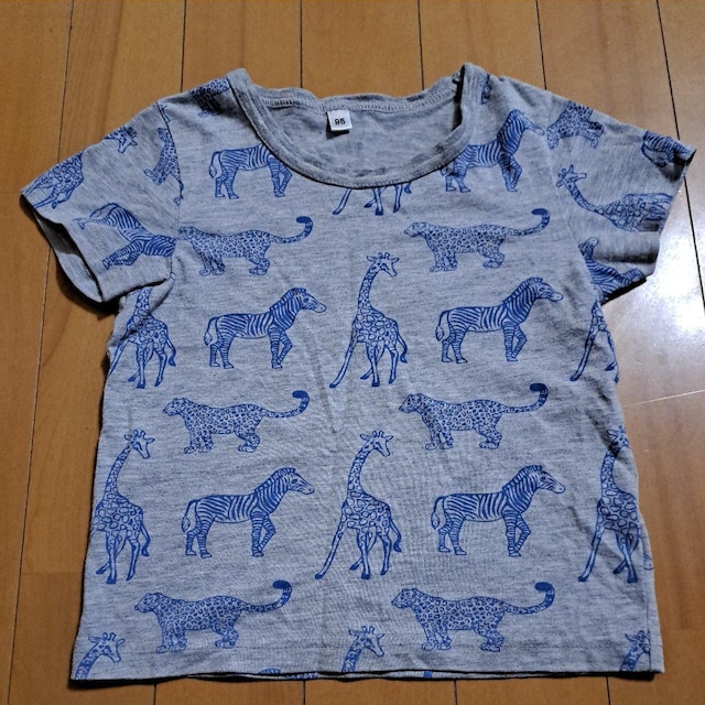 95cmTVc 