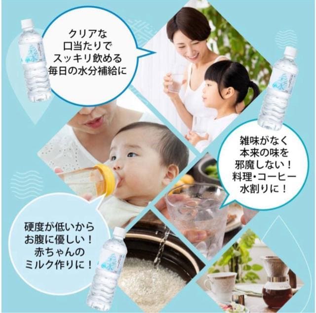 y24{z ~lEH[^[y ʐ -݂- z 500ml~24{  O/hN 