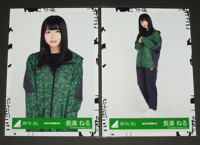 O46 ʐ^S@_˂@W[Wߑ  ^gObY 