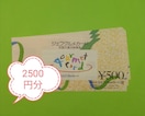 WFtOJ[h500~2500~ ʗX֑