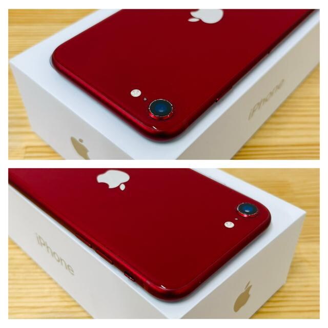 B 100% iPhone SE3 128 GB bh@SIMt[@{  Ɠd/AV 