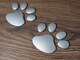  IDOG  񂿂 R[M[/_bNX Ռ^IZp[g^Cv fJ[ Vo[ViJiI