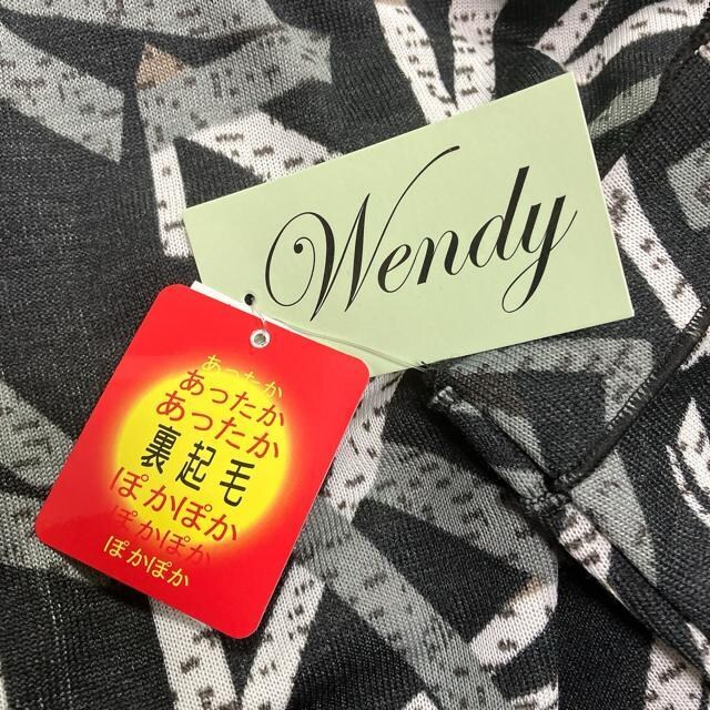 ViyWendyz EFfB[ Jbg\[  N 􉽊w fB[X M L uh  t@bV 