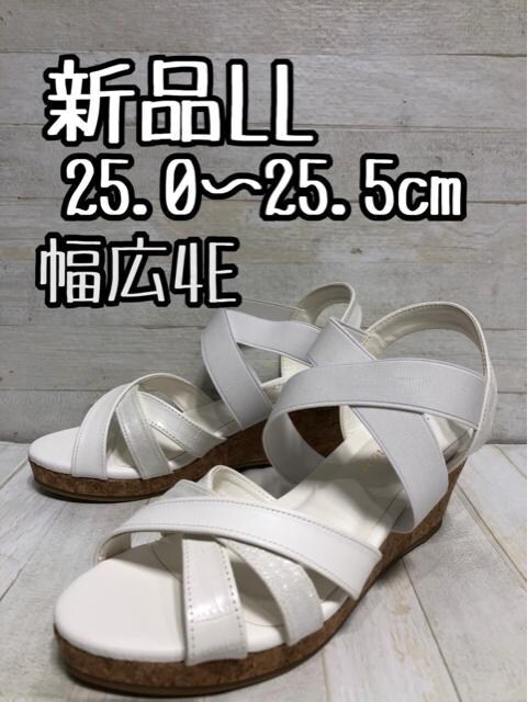 ViLL25.0`25.5cmL4EnEFbW\[T_D702   t@bV 