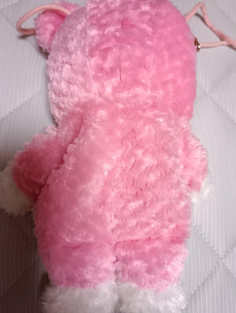 R񔄕iʂ݃K}  zr[ 