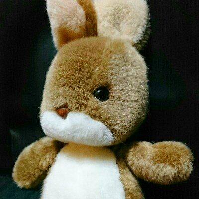 Amazon.co.jp: うさぎ ぬいぐるみ ウサギ 兎 昭和 レトロ