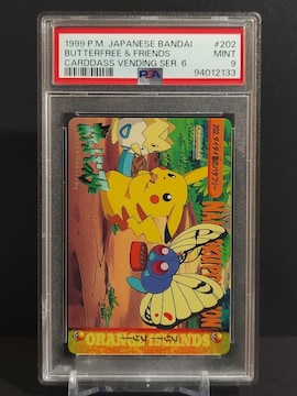 PSA9@J[h_X |PbgX^[@1999N@_C_C̃o^t[