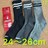 Vigp24`26cm Y\bNX@C3Zbg@R[} .12