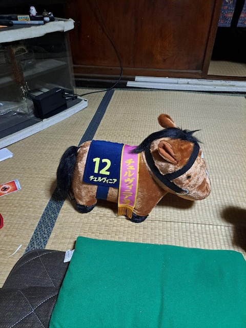 n̂ʂ  zr[ 