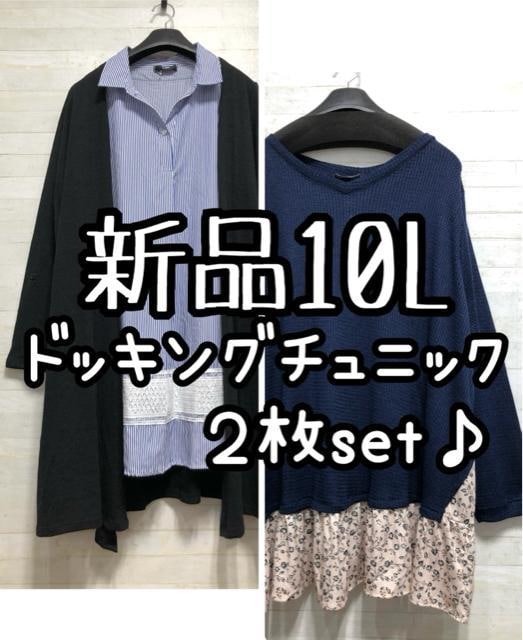 Vi10Ld˒hbLO`jbN2J[fBK̉Q238   t@bV 