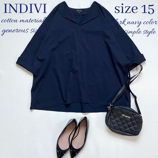 iINDIVI傫TCYȍܕJbg\[lCr[3L   uh 