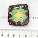 22*Ҳށڰ̸ứ@1