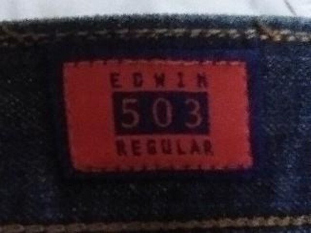 GhEB EDWIN 503 REGULAR fj 傫TCY 44~33   uh 